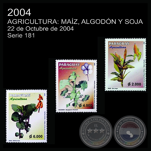 AGRICULTURA: MAÍZ, ALGODÓN, SOJA - (AÑO 2004 - SERIE 181)